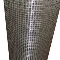 Hot dipped 2x2 galvanized welded wire mesh panel and roll