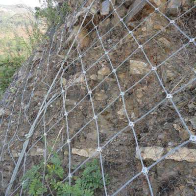 Factory price 1770mpa high tensile slope proteciton system rockfall barrier wire mesh netting