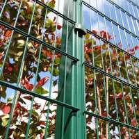 Pvc coated Twin Wire 656 Fencing Panels / ornamental double loop wire fence