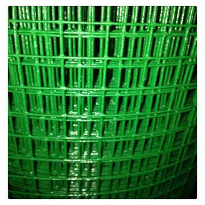 High quality welded wire mesh / welded wire mesh price